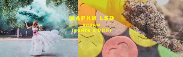 мяу мяу мука Арсеньев