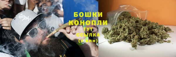шишки Аркадак