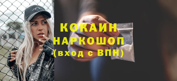 шишки Аркадак