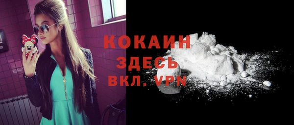 шишки Аркадак