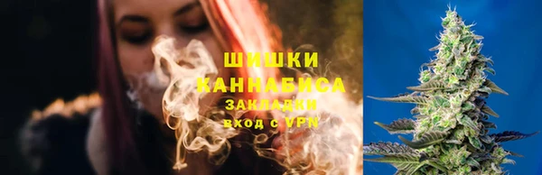 шишки Аркадак