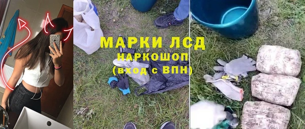 шишки Аркадак