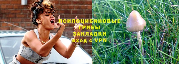 шишки Аркадак
