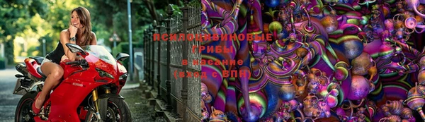 мяу мяу мука Арсеньев