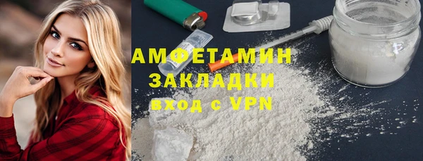 шишки Аркадак