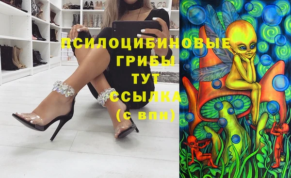 шишки Аркадак